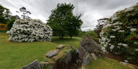 Crarae Garden (National Trust for Scotland) 