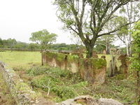 Fort Mangochi 32 