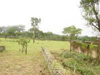 Fort Mangochi 33 