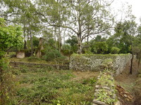 Fort Mangochi 31 