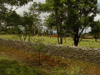 Fort Mangochi 37 