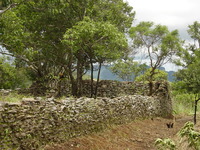 Fort Mangochi 16 