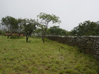 Fort Mangochi 35 