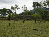 Fort Mangochi 3 