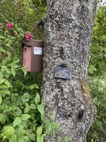 St Andrews Botanic Gardens Blue Tit Research by Yansong Li is licensed under CC BY-SA 4.0