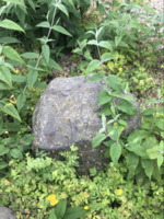 Blue Stane (new) by Daniel Fierer is licensed under CC BY 4.0