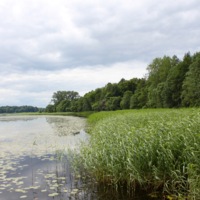 Jugla Lake of the Ethnographic Museum / Etnogrāfiskaja Muzeja Juglas Ezers