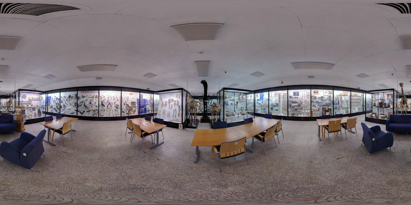 Panorama_origin_file__162675__02_Nov__2020_11_25_-4.jpg Panorama_origin_file__162675__02_Nov__2020_11_25_-4.jpg