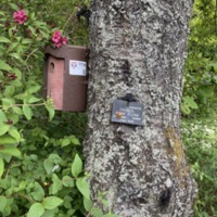 St Andrews Botanic Gardens Blue Tit Research