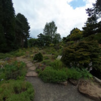 St Andrews Botanic Gardens, 360 Tour of the Rock Garden